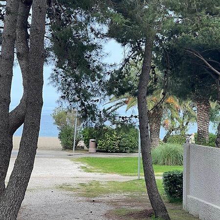 Grand F3 Vue Mer Centre Plage Proche Commerces Plage dʼArgelès Zewnętrze zdjęcie