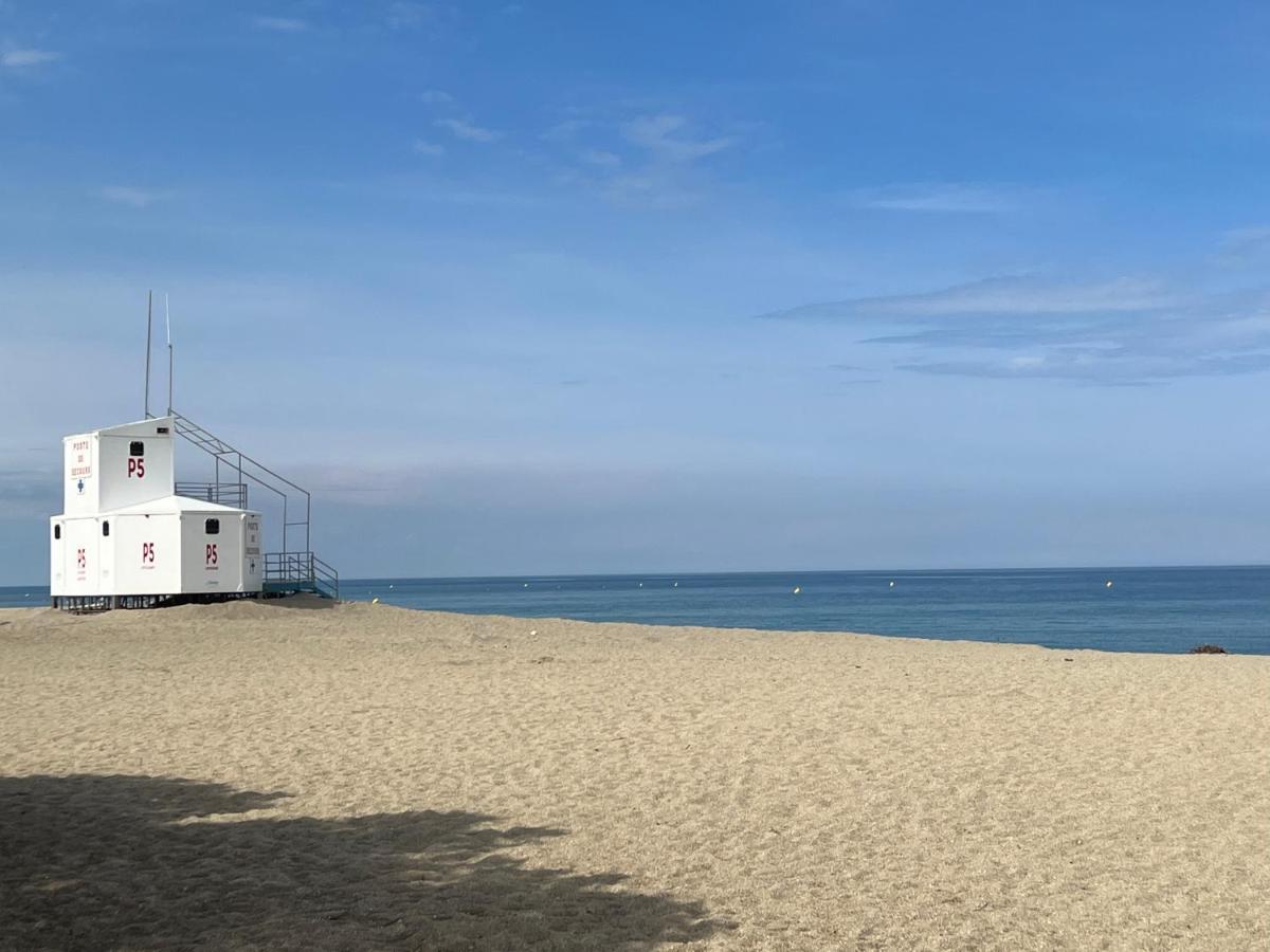 Grand F3 Vue Mer Centre Plage Proche Commerces Plage dʼArgelès Zewnętrze zdjęcie