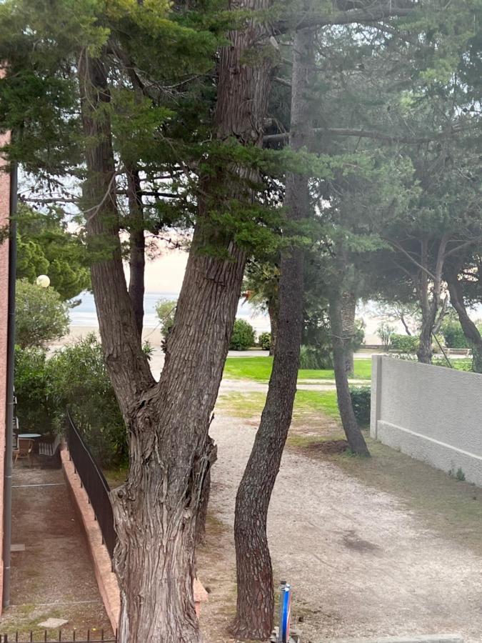 Grand F3 Vue Mer Centre Plage Proche Commerces Plage dʼArgelès Zewnętrze zdjęcie