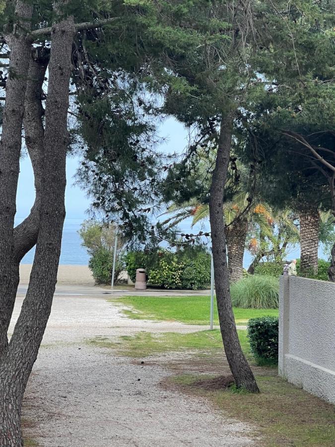 Grand F3 Vue Mer Centre Plage Proche Commerces Plage dʼArgelès Zewnętrze zdjęcie